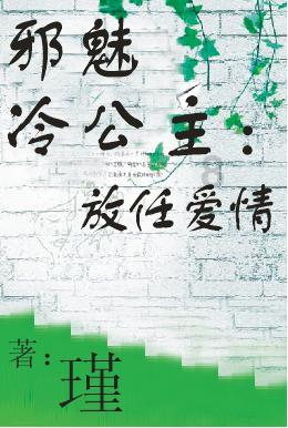 彼得比尔特379拼图